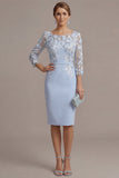 Blush Pink Sheath 3D Flower Round Neck Midi Mother of the Bride Dress z rękawami 3/4