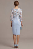 Blush Pink Sheath 3D Flower Round Neck Midi Mother of the Bride Dress z rękawami 3/4