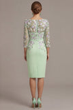 Blush Pink Sheath 3D Flower Round Neck Midi Mother of the Bride Dress z rękawami 3/4
