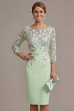 Blush Pink Sheath 3D Flower Round Neck Midi Mother of the Bride Dress z rękawami 3/4